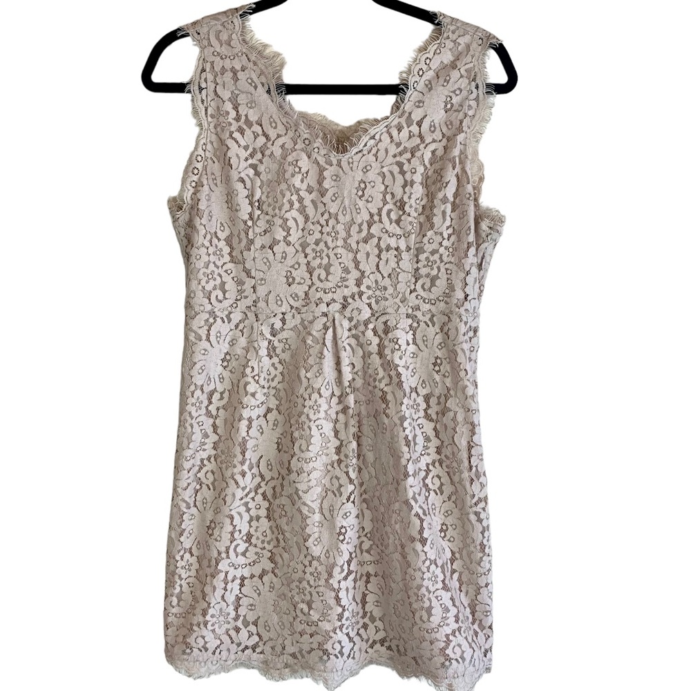 Joie Rori Lace Fringe Mini Dress Mushroom Tan Champage - Picture 2 of 14